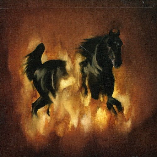 The Besnard Lakes: The Besnard Lakes Are The Dark Horse - Record