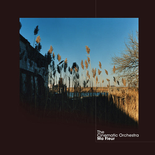 The Cinematic Orchestra- Ma Fleur { VINYL LP }