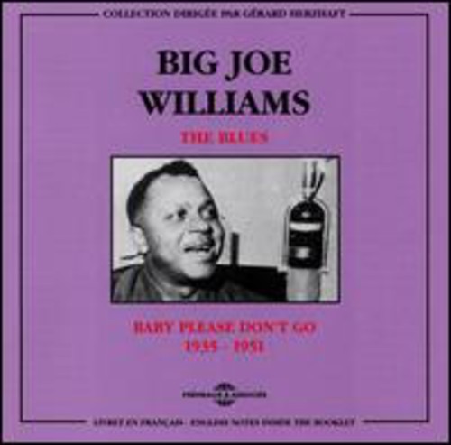 Big Joe Williams: Blues - Record