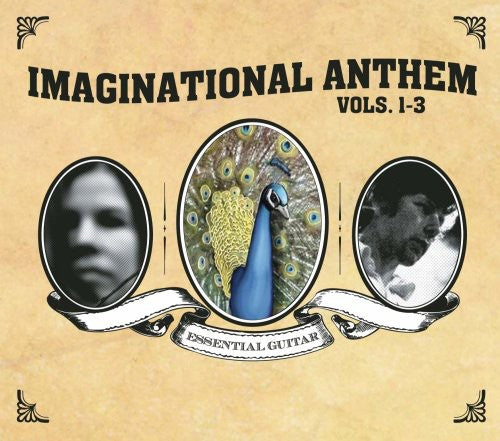 Various Artists: Imaginational Anthem, Vol. 1-3 - Record