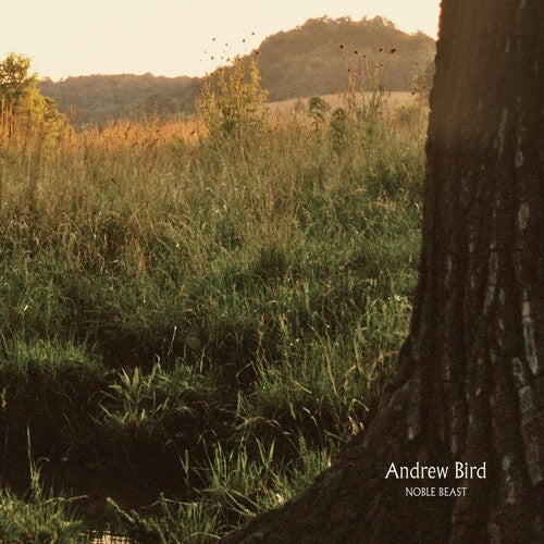 Andrew Bird: Noble Beast - Record