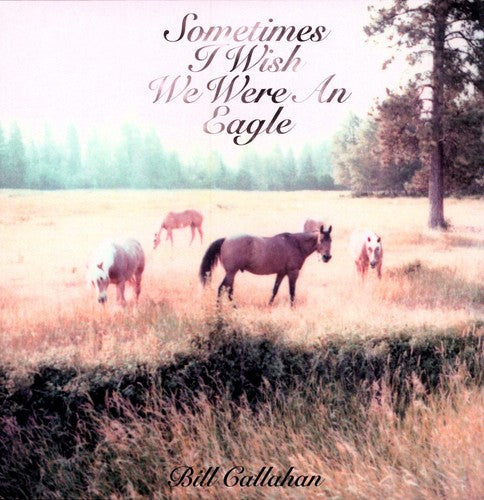 Bill Callahan: Sometimes I Wish We Were An Eagle - VINYL