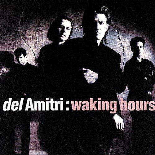 Del Amitri: Waking Hours - CD