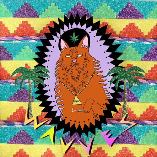 Wavves: King of the Beach - Record