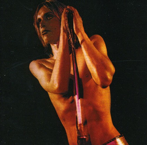 The Stooges: Raw Power (Remix) - CD