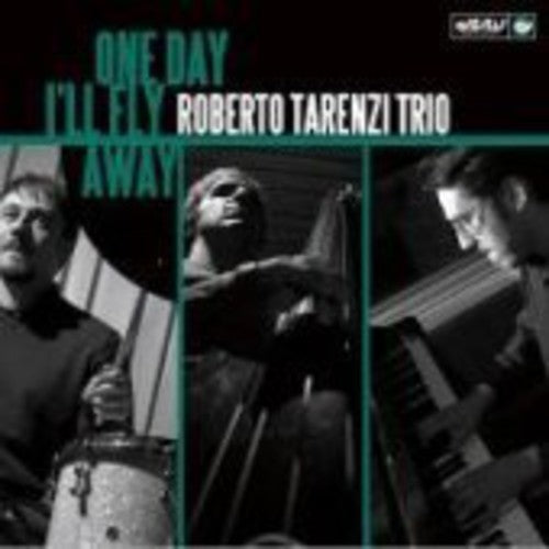 Roberto Tarenzi Trio: One Day I'll Fly Away - VINYL