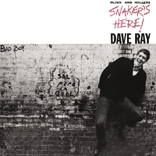 Dave Ray: Snaker's Here - Record