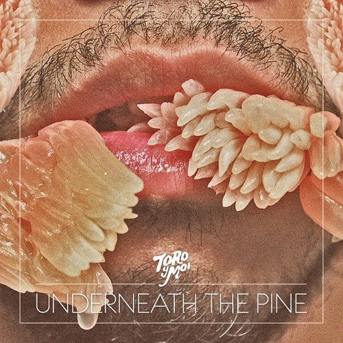 Toro y Moi: Underneath the Pine - Record