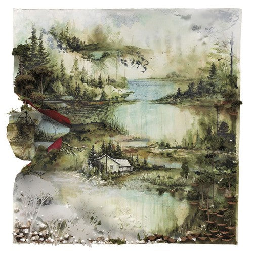 Bon Iver: Bon Iver - Record