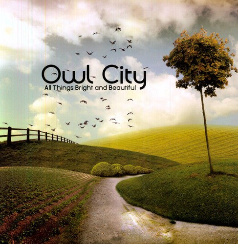 Owl City: All Things Bright and Beautiful - Record
