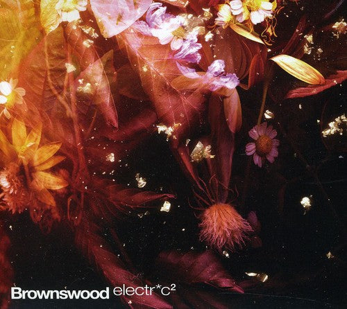 Various Artists: Brownswood Electr*c 2 - Record
