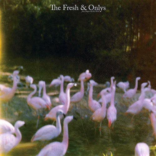 The Fresh & Onlys- August in My Mind { VINYL LP }