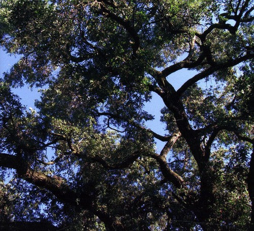 Charles Manson: Trees - CD
