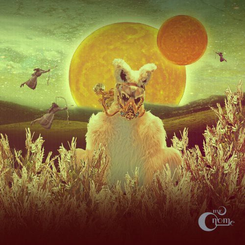 Mr Gnome- Madness in Miniature { VINYL LP }