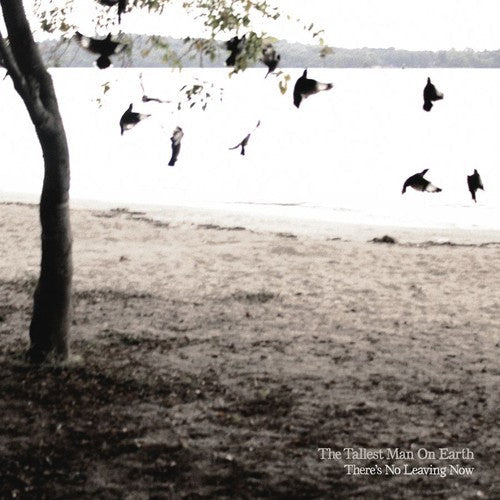 The Tallest Man on Earth: There's No Leaving Now - Record
