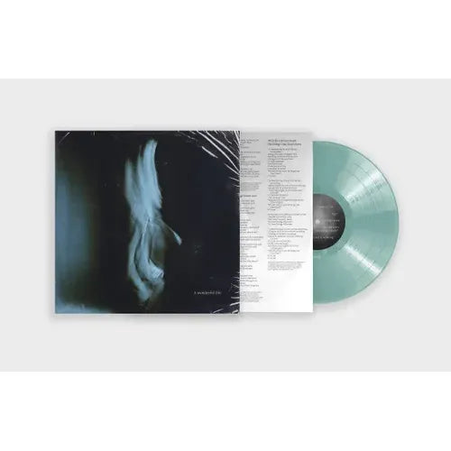 Tom Odell- A Wonderful Life (Indie Exclusive Vinyl) { VINYL LP }