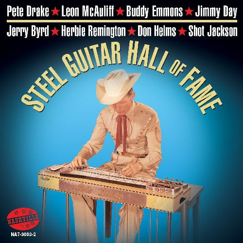 Various Artists: Steel Guitar Hall Of Fame - Record