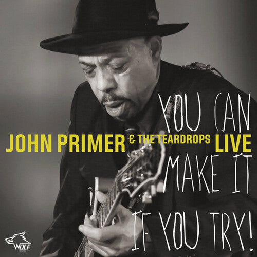 John Primer: You Can Make It If You Try - Record