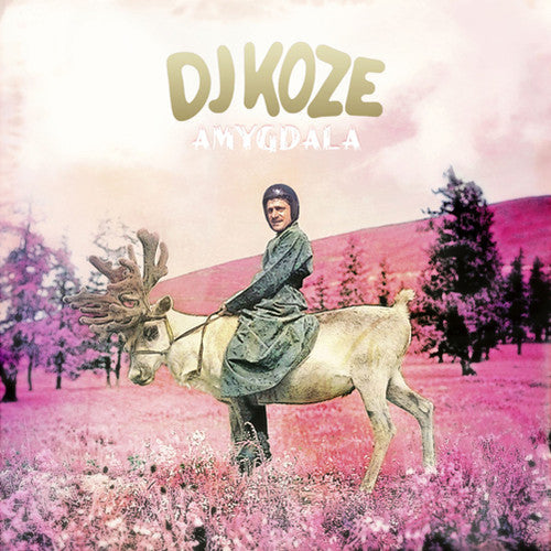 DJ Koze: Amygdala - Record