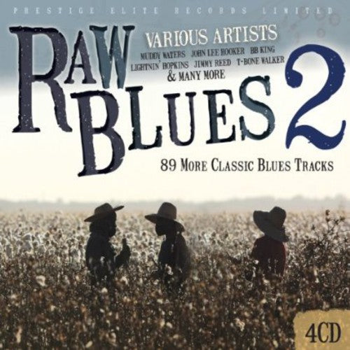 Various Artists: Raw Blues 2 - Record