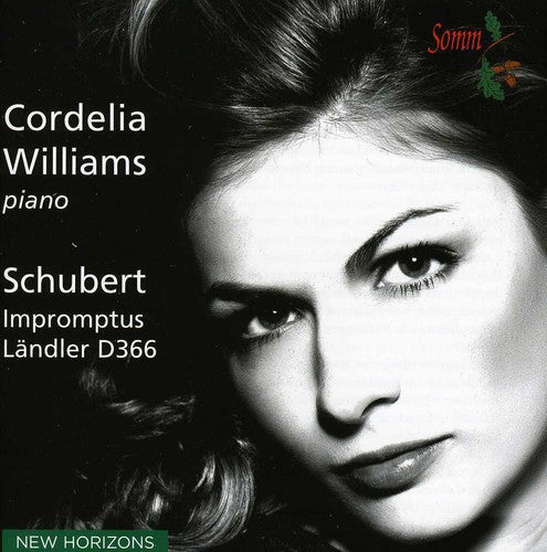 R. Schubert: Impromptus D899 & D935 - Record