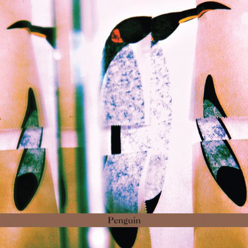 Haggai Cohen-Milo: Penguin - CD