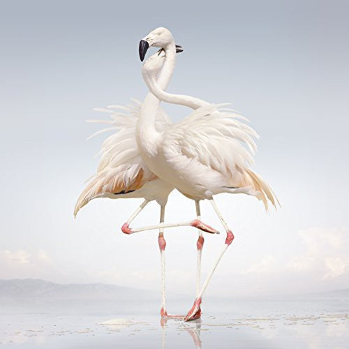 Rustie: Green Language - CD