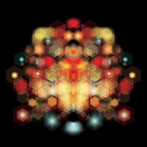 Brothertiger: Future Splendors - VINYL