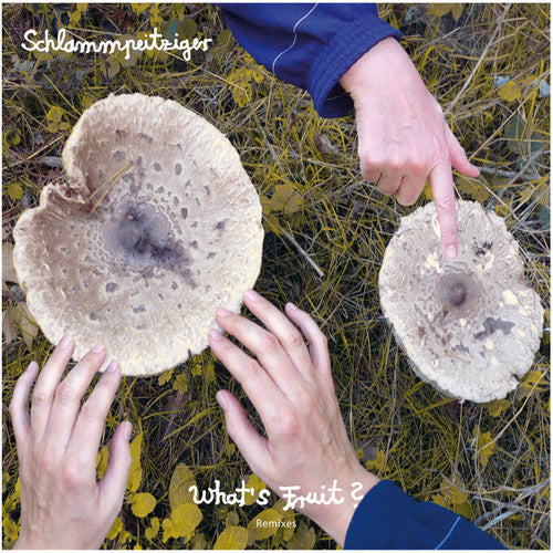 Schlammpeitziger: Whats Fruit Remixes - 12-INCH SINGLE