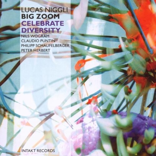 Niggli: Celebrate Diversity Zoom - Record