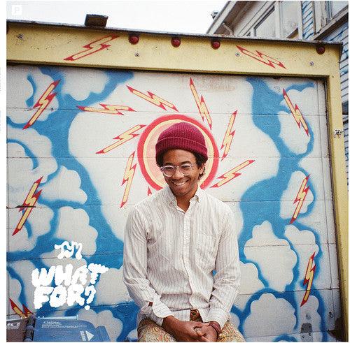 Toro y Moi- What for { VINYL LP }