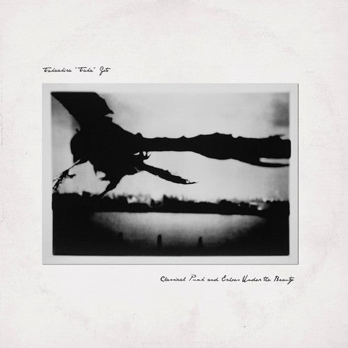 Takaakira Taka Goto: Classical Punk & Echoes Under Beauty - VINYL