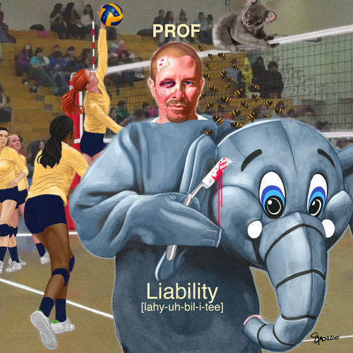 Prof: Liability - Record