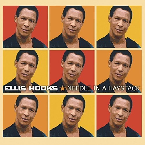 Ellis Hooks: Needle in a Haystack - Record
