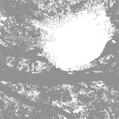 Comets on Fire- Field Recordings from the Sun { VINYL LP }