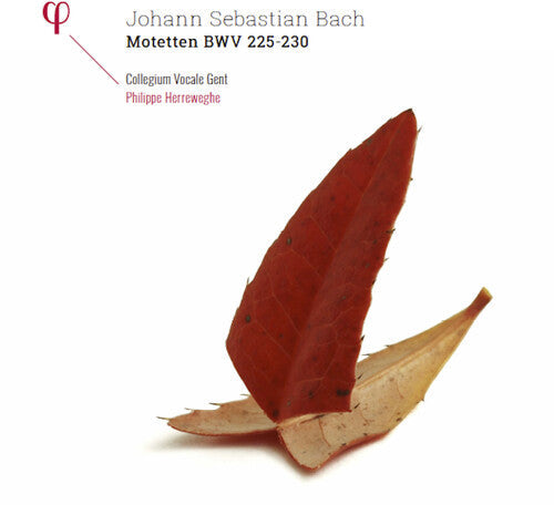 Bach, J.S. / Collegium Vocale Gent / Herreweghe: Johann Sebastian Bach: Motetten BWV 225-230 - Record