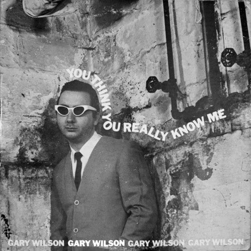 Gary Wilson- You Think You Really Know Me { VINYL LP }