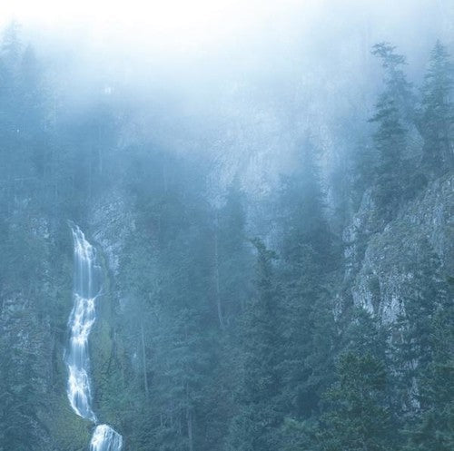 Wolves In The Throne Room- Diadem Of 12 Stars { VINYL LP }