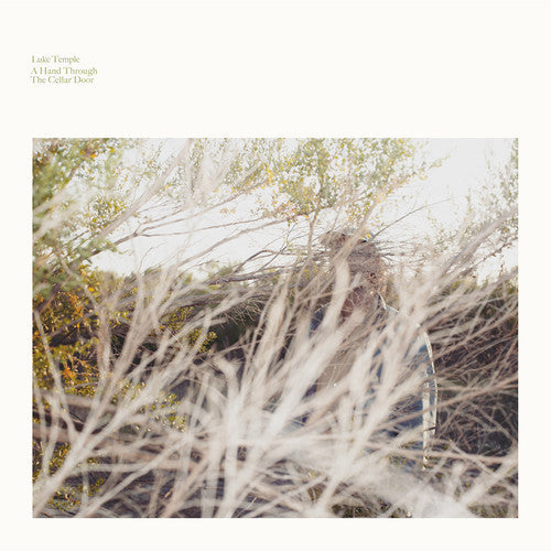 Luke Temple- A Hand Through The Cellar Door { VINYL LP }