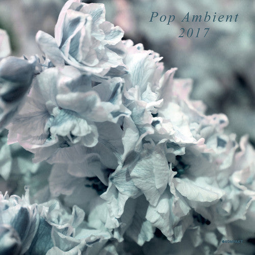 Various Artists: Pop Ambient 2017 / Various - Record