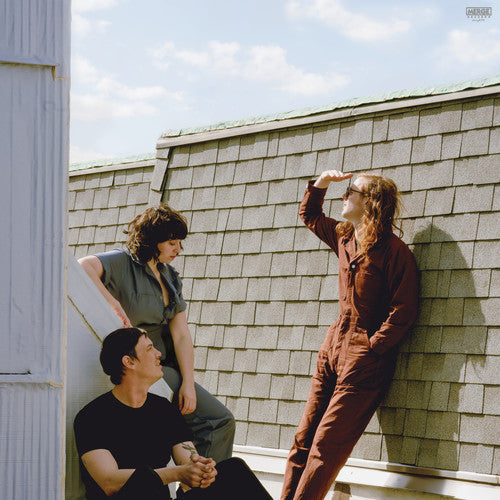 Swearin': Fall Into The Sun - VINYL