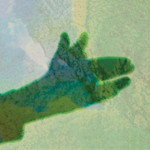 Native Instrument: Camo - Record