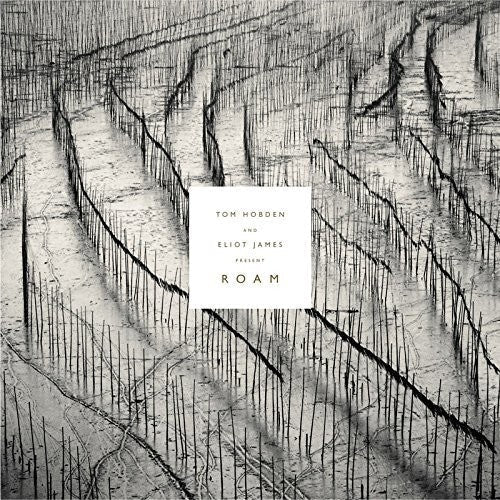 Tom Hobden: Present: Roam - Record