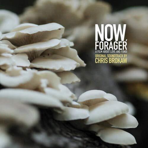 Chris Brokaw- Now Forager (Original Soundtrack) { VINYL LP }
