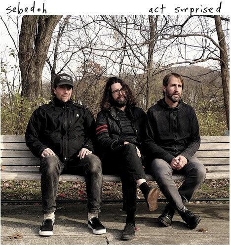 Sebadoh- Act Surprised { VINYL LP }