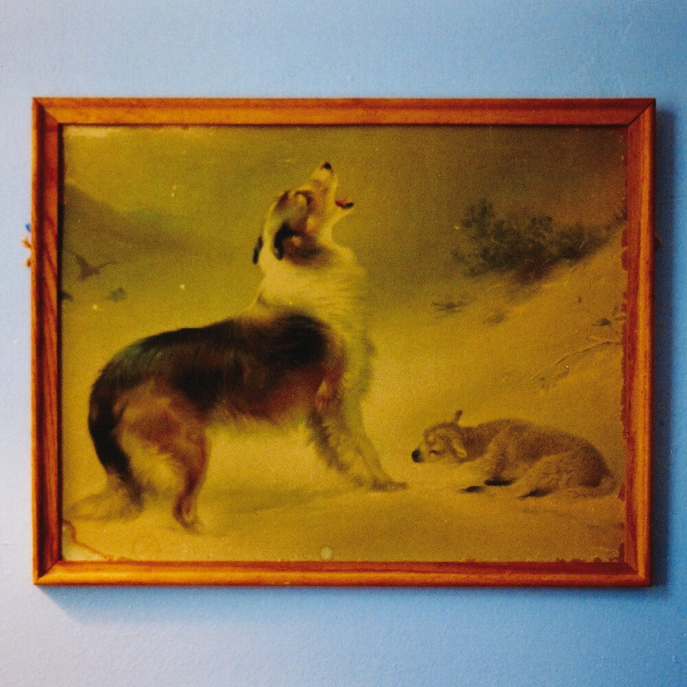 Explosions In The Sky- Rescue (Org) { VINYL LP }