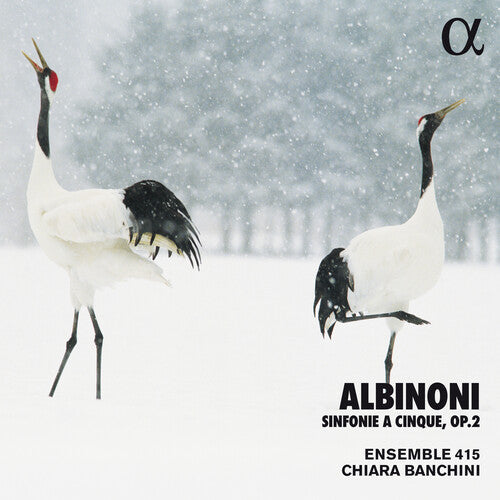 Albinoni / Banchini / Ensemble 415: Sinfonie a Cinque 2 - Record