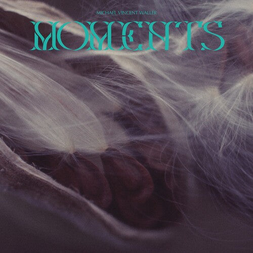 Michael Vincent Waller: Moments - Record