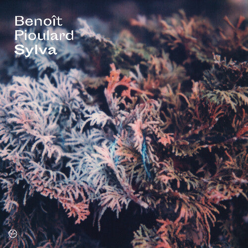 Benoit Pioulard: Sylva - Record