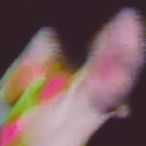 Function: Existenz - Record